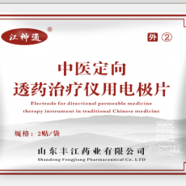 中医定向理疗贴片