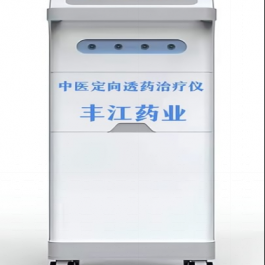 中医定向透药治疗仪