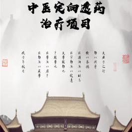 中医定向透药治疗项目手册