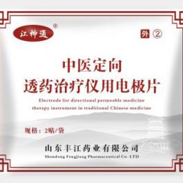 中医定向治疗仪用电极片
